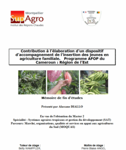 Contribution à l’élaboration d’un dispositif d’accompagnement de l’insertion des jeunes en agriculture familiale. Programme AFOP du Cameroun : Région de l’Est