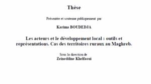 Les acteurs et le développement local : outils et représentations. Cas des territoires ruraux au Maghreb