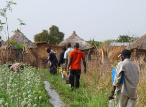 Séminaire FAR “Rôles de la formation professionnelle agricole pour répondre aux défis des différentes formes d’agricultures en Afrique”, Rabat, 2014