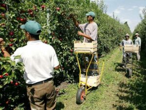 L’algérie se dote d’une école des métiers agricoles