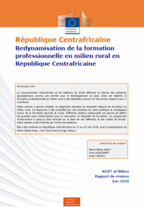Redynamisation de la formation professionnelle en milieu rural en République Centrafricaine (RCA)