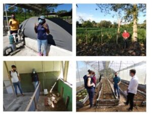 Diagnostic du dispositif national de formation agricole, rurale et environnementale (FAR-E) au Costa Rica