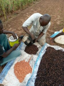 Sénégal / L’expertise paysanne au cœur des formations en agroécologie
