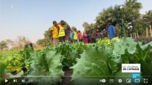 Togo / Création de fermes agroécologiques pédagogiques