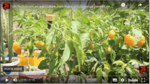 Sénégal / Améliorer le sol pour la transition agroécologique