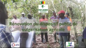 Cameroun / Rénover le dispositif public de vulgarisation agricole
