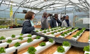 Bénin / 30 lycées techniques agricoles fonctionnels en 2025