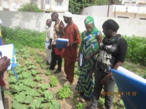 Sénégal / Modèle d’apprentissage de qualification professionnelle agricole en unités de production informelle