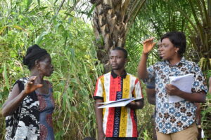 Togo / Analyse collective de la formation continue des producteurs (master MIFAR)
