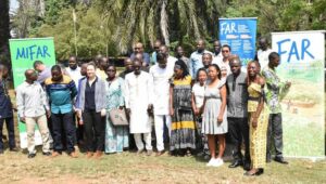 Master MIFAR / Sujets de mémoire des soutenances 2024
