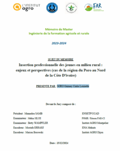 Insertion professionnelle des jeunes en milieu rural : enjeux et perspectives (cas de la région du Poro au Nord de la Côte D’ivoire)