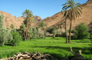 Image pays Maroc