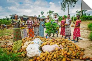 Image pays Côte d'Ivoire