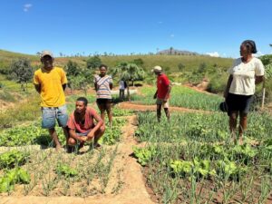 Madagascar / Accompagner les organisations professionnelles agricoles pour renforcer la formation continue des producteurs/productrices et promouvoir l’agroécologie