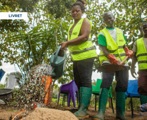 Former à l’agroécologie et aux transitions : 43 initiatives de formation pour accompagner les transitions