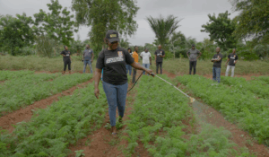 [Paroles d’actrice] Utiliser l’agroécologie et la pédagogie par alternance comme levier d’insertion socioprofessionnelle