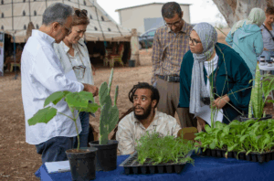 [Paroles d’actrice] Le RIAM, un espace pour ancrer l’agroécologie