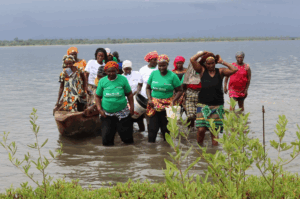 [Paroles d’actrice] Reconfigurer les transitions agroécologiques par le leadership environnemental des femmes
