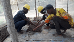 [Paroles d’actrice] Stages pratiques en agroécologie « de la semence à la récolte » pour tous