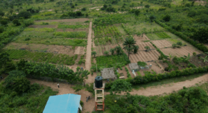 [Paroles d’actrice] Créer un espace villageois d’innovation pour co-construire et transmettre l’agroécologie