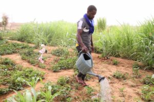 [Paroles d’acteur] Former les acteurs des territoires à la transition agroécologique