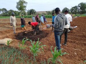 Niger / Animer des champs-écoles agropastoraux pour former à l&rsquo;agroécologie&nbsp;: quels enseignements&nbsp;?
